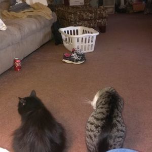 Meet your Posher, Dan